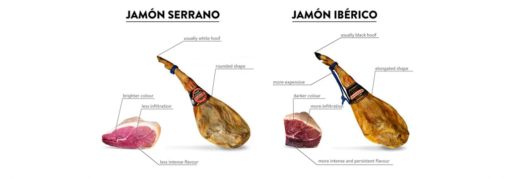 SERRANO_VS_IBERICO_1024x1024.jpg